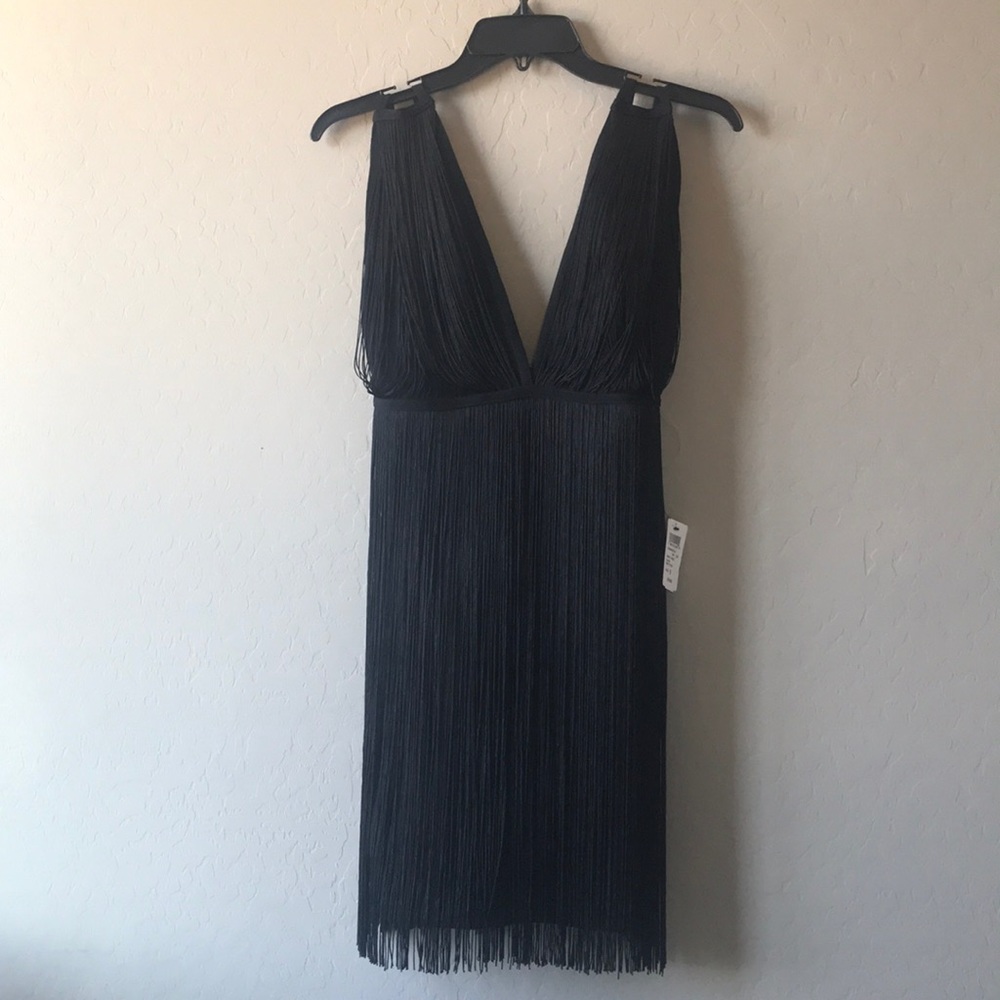 Brand New Windsor Fringe Dress